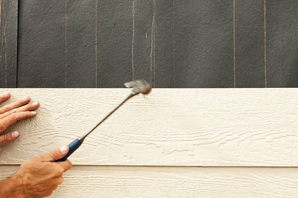 Best Siding Painting and Refinishing  in Pleasure Point, CA